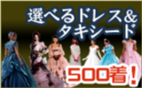 ドレス500箸